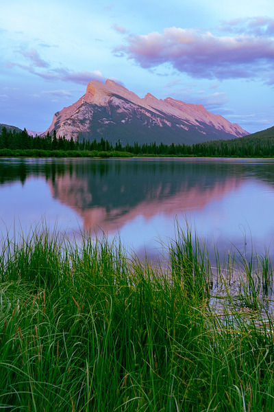 Rosy Reflection Print