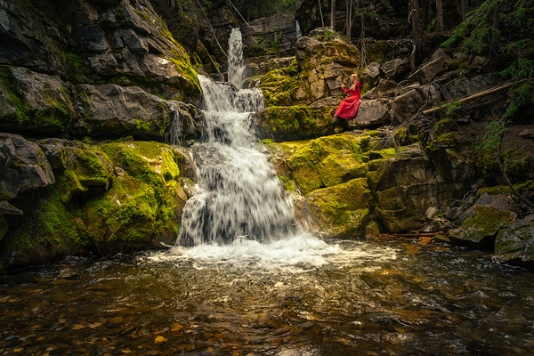 The Quiet Grove Print