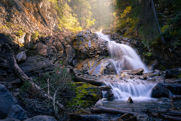 Whispers of Light Beyond the Shade Print