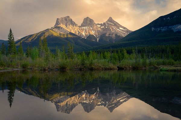 Sisters  Reflection Print