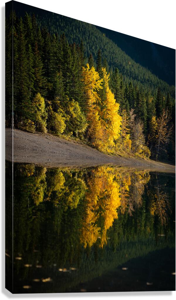 Golden Reflection Canvas Print