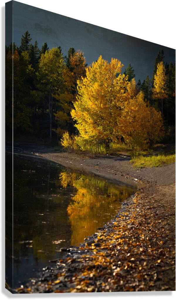 Autumn s Majesty Canvas Print