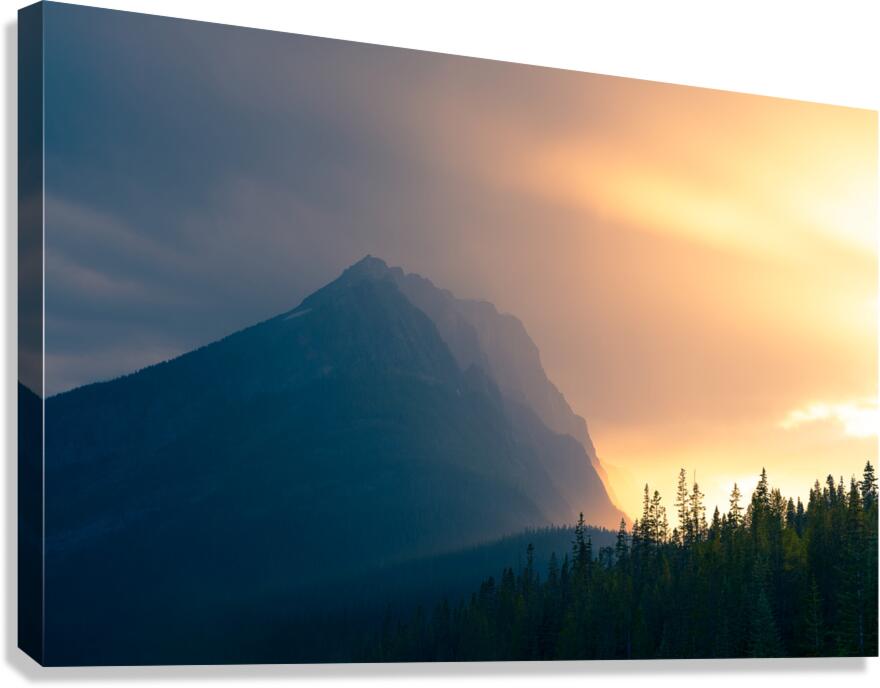 Rainy Splendor Canvas Print