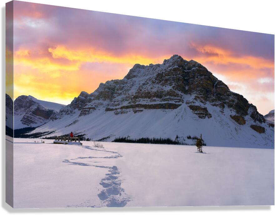 Tranquility by the Frozen Lake Canvas Print