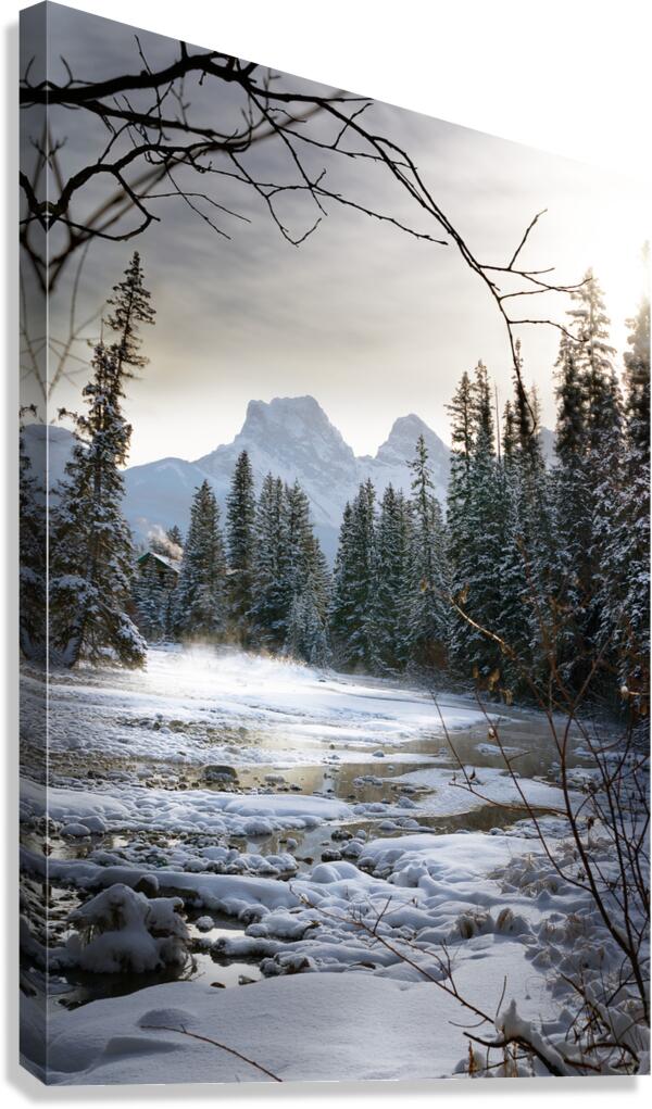 Mystical Veil Canvas Print