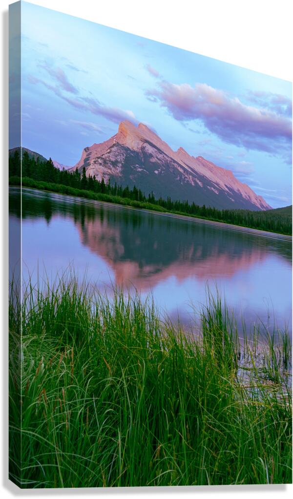 Rosy Reflection Canvas Print