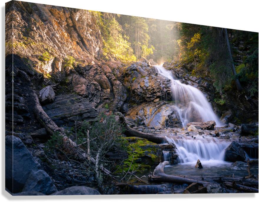 Whispers of Light Beyond the Shade Canvas Print