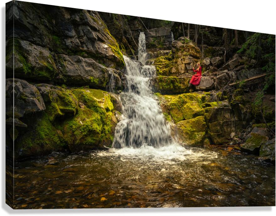 The Quiet Grove Canvas Print