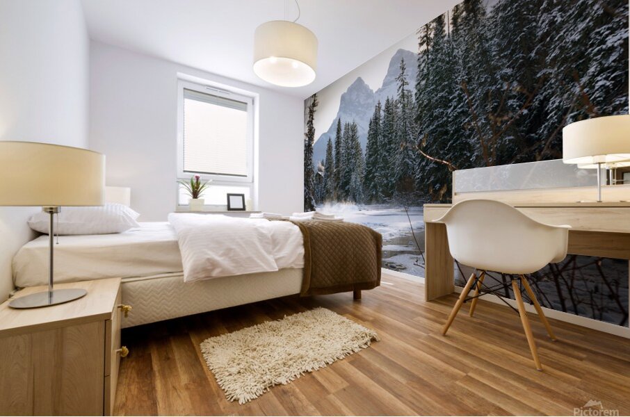 Mystical Veil Mural print