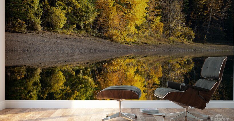 Golden Reflection Wall Murals