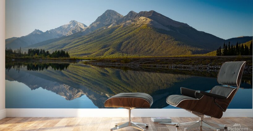 Goat Mountain s Magical Mirror Wall Murals