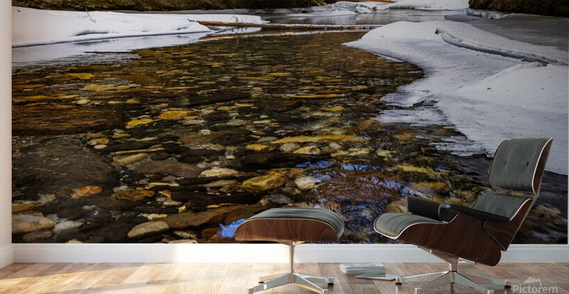 Hues of Nature Wall Murals