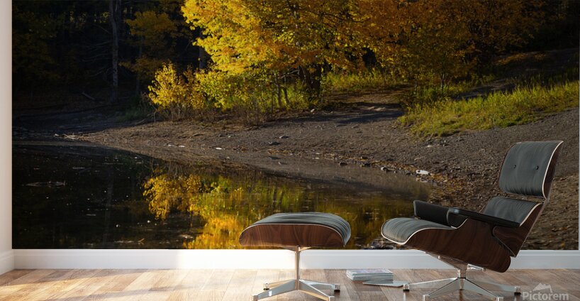 Autumn s Majesty Wall Murals