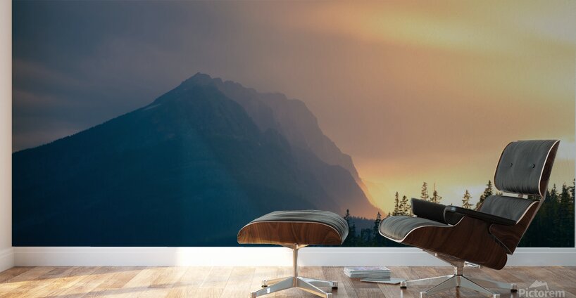 Rainy Splendor Wall Murals
