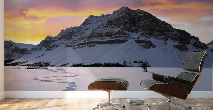 Tranquility by the Frozen Lake Wall Murals
