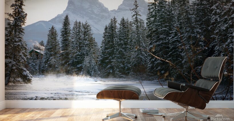 Mystical Veil Wall Murals