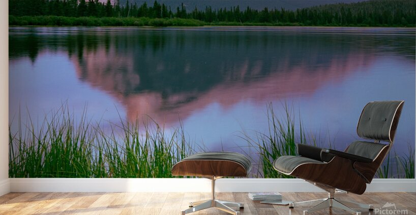 Rosy Reflection Wall Murals