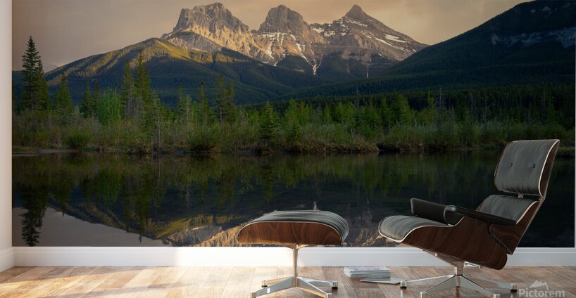 Sisters  Reflection Wall Murals