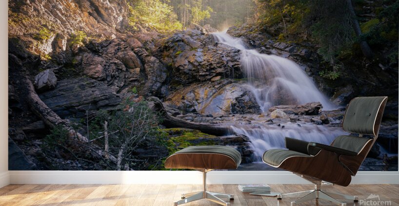 Whispers of Light Beyond the Shade Wall Murals