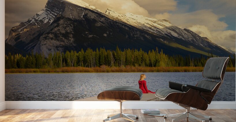 At Last the Stillness Wall Murals