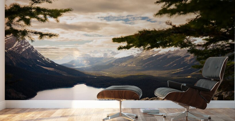 Over the Valley Wall Murals