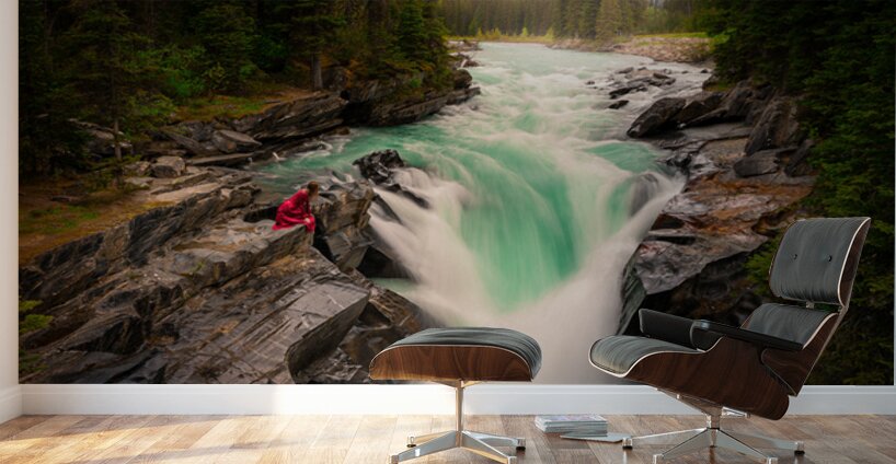 The Threshold Wall Murals