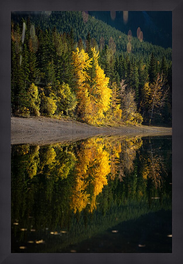 Golden Reflection Impression et Cadre photo