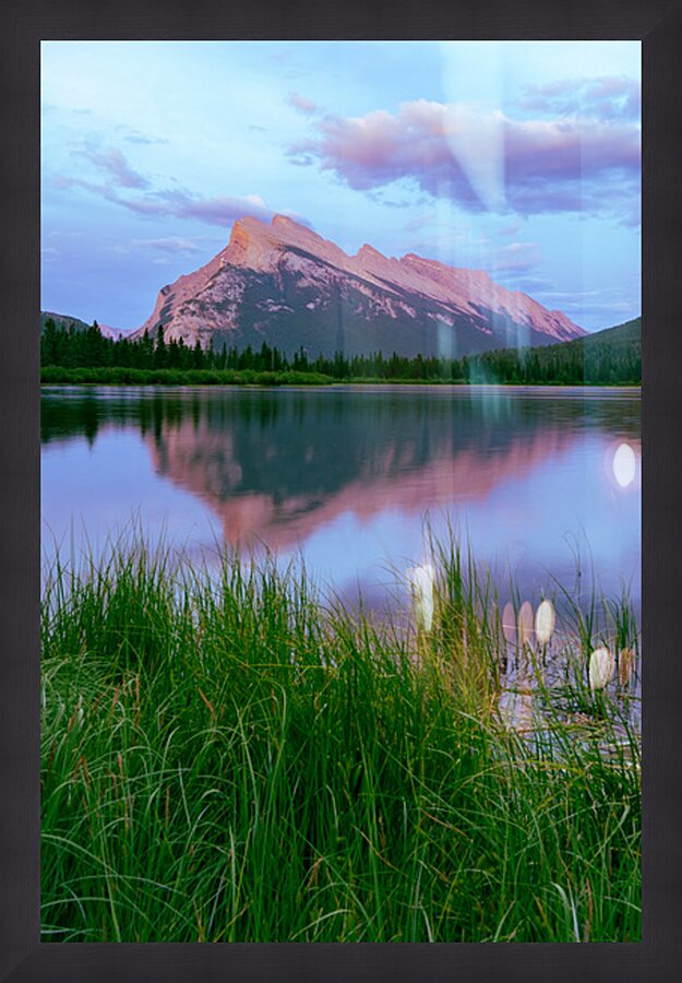 Rosy Reflection Impression et Cadre photo