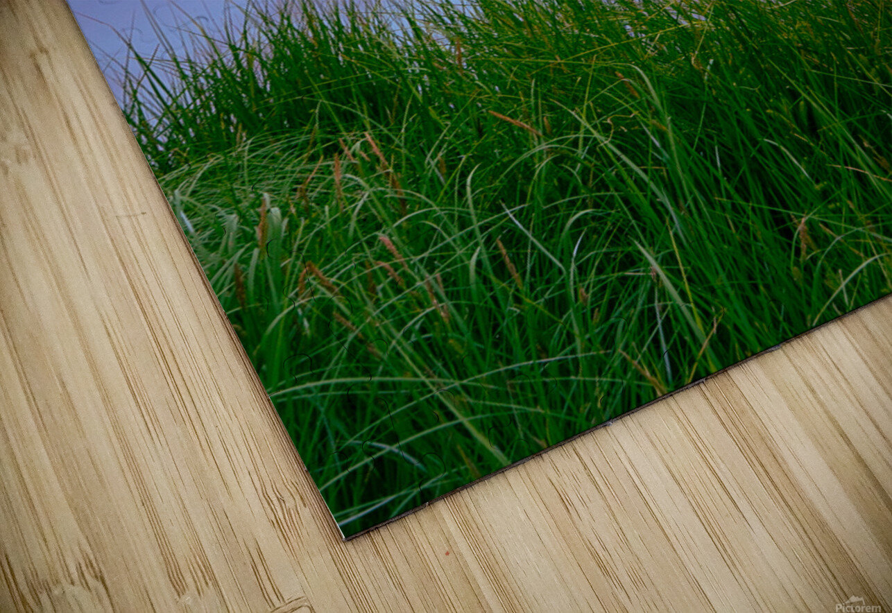 Rosy Reflection Maxime Poulin Puzzle