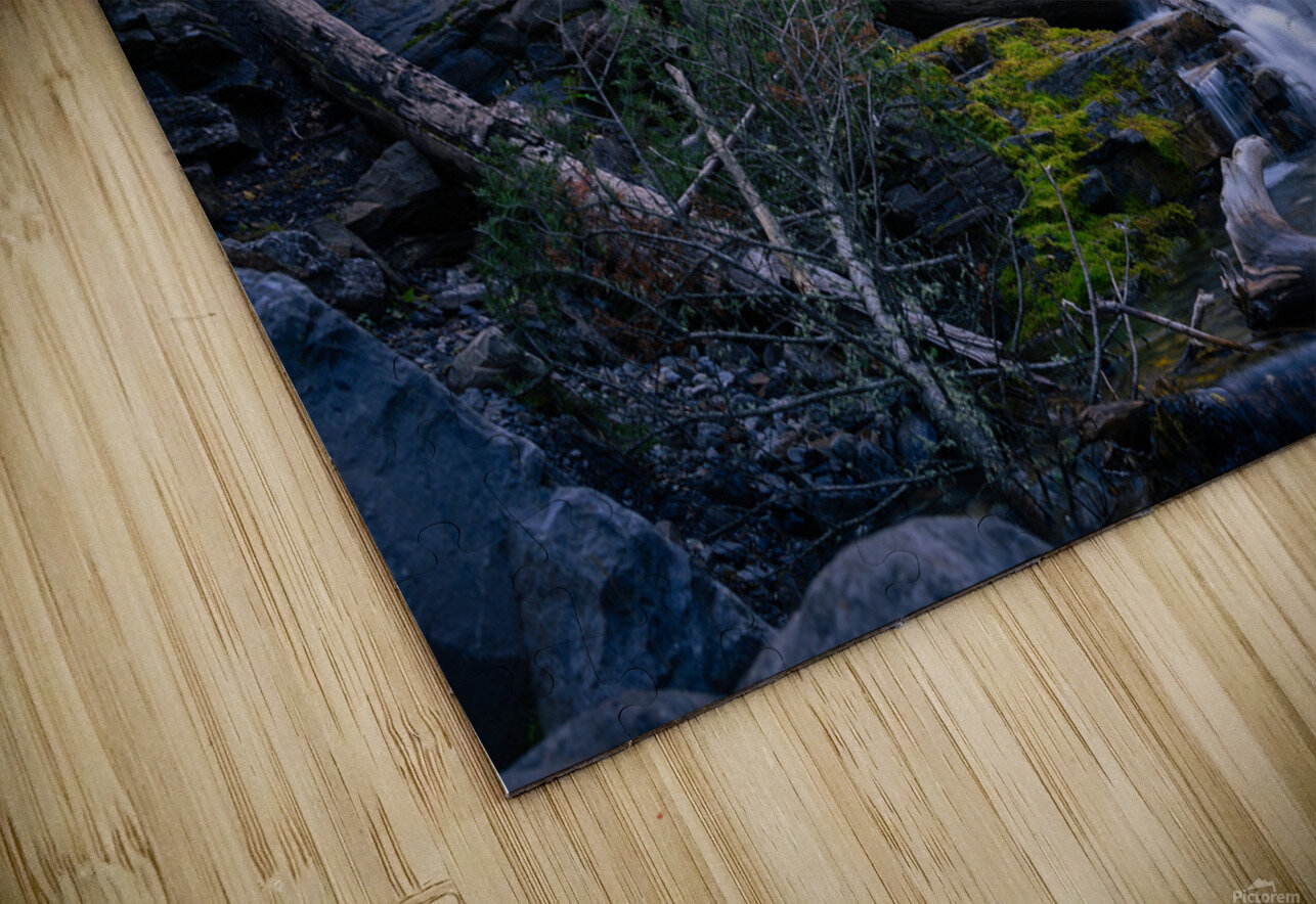 Whispers of Light Beyond the Shade Maxime Poulin Puzzle