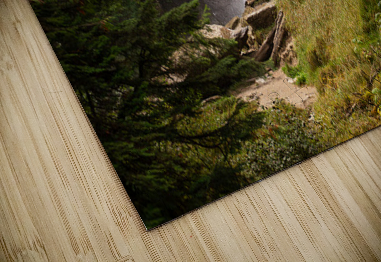 Mist and Memory Maxime Poulin Puzzle