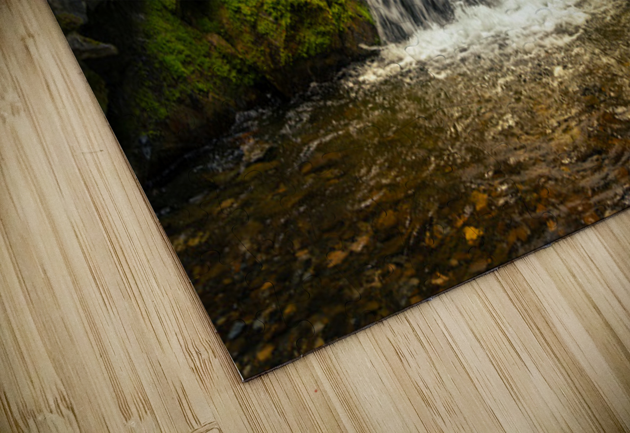 The Quiet Grove Maxime Poulin Puzzle