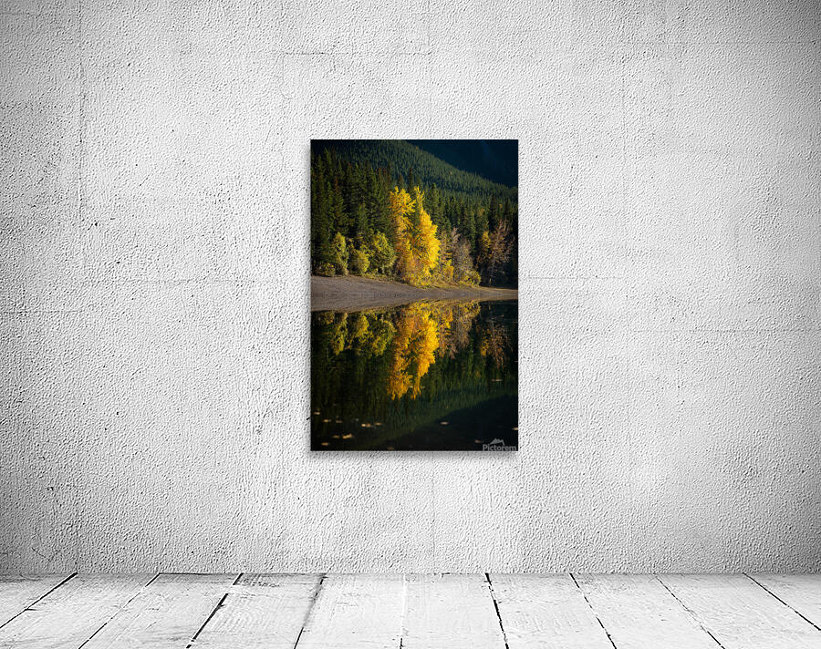 Golden Reflection Wall Preview