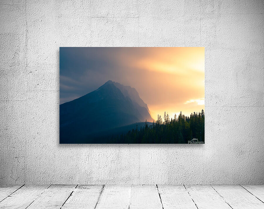 Rainy Splendor Wall Preview