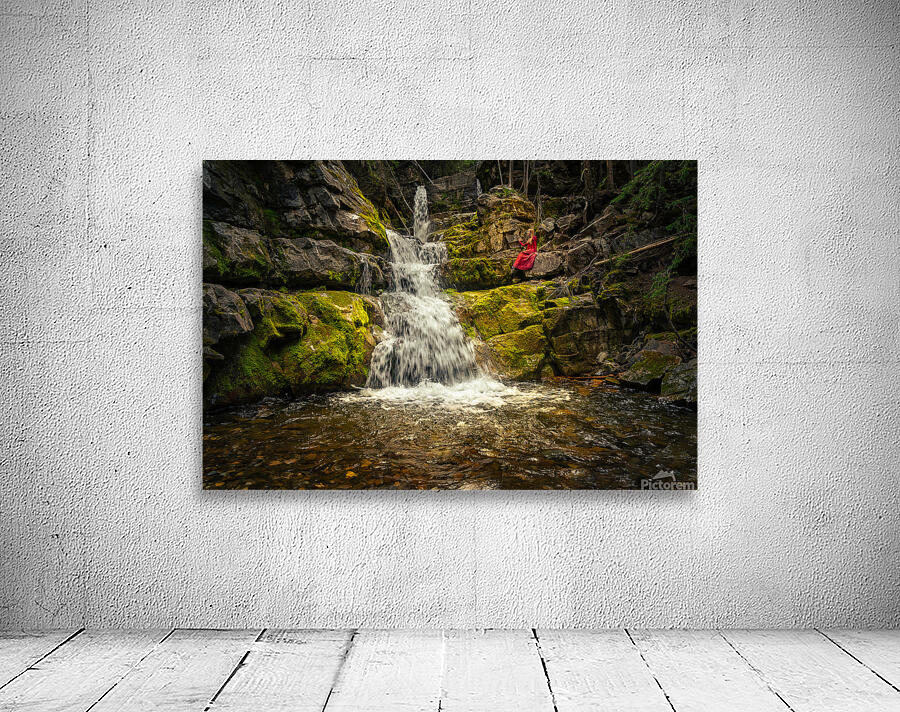 The Quiet Grove Wall Preview